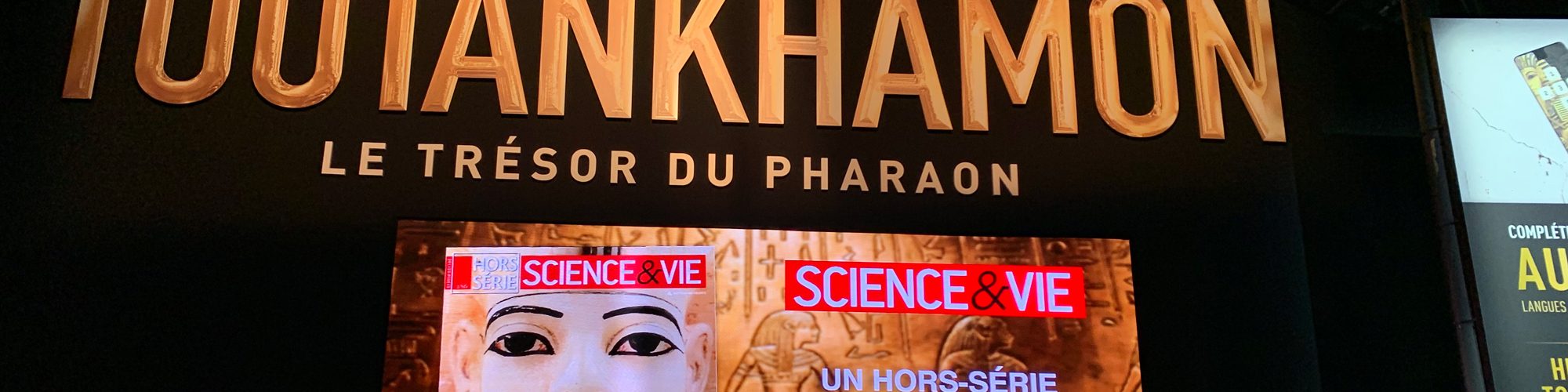 ecran-geant-led-supervision-toutankhamon-sv3.6